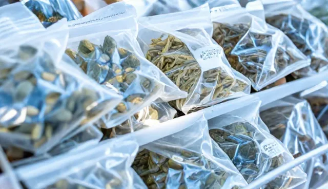 保鲜设备使用不当如何影响农产品储存效果